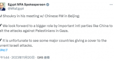埃及外长：期待中国发挥更大作用，某些大国却给以色列打掩护